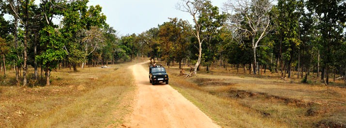 885/The Riverwood Forest Retreats - Pench National Park 10.jpg